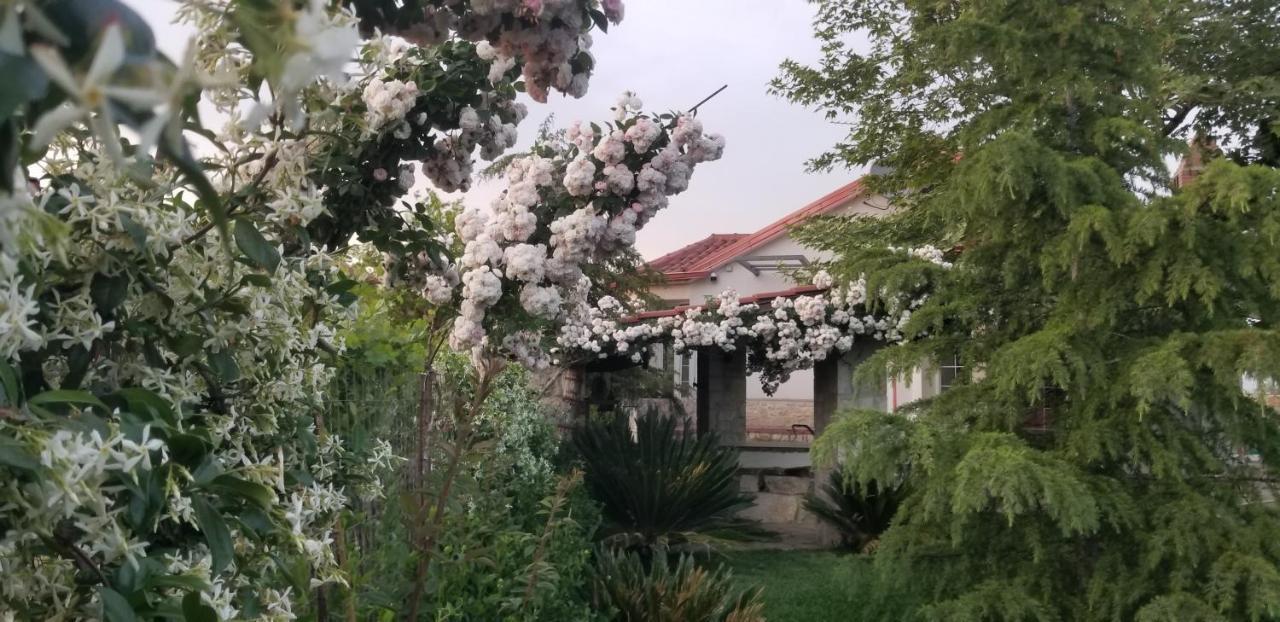 Country House Bubullime Albania Lushnjë Exteriör bild