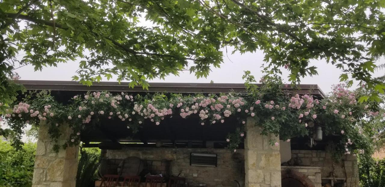 Country House Bubullime Albania Lushnjë Exteriör bild