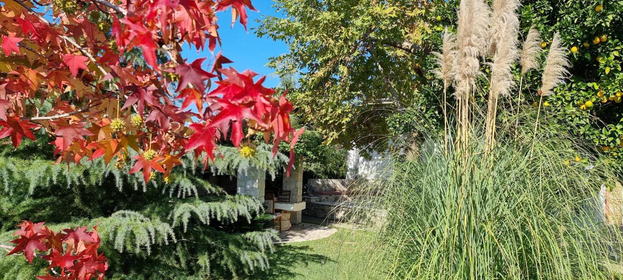 Country House Bubullime Albania Lushnjë Exteriör bild